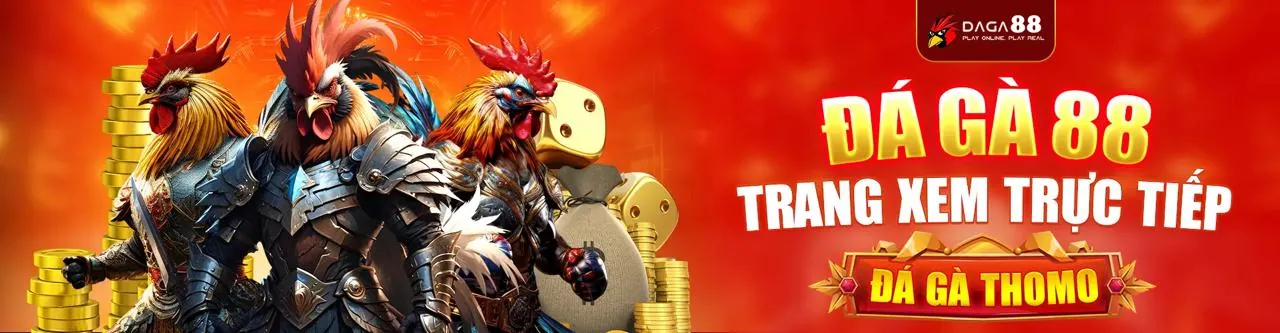 Trận đá gà kịch tính trên jn88 apk