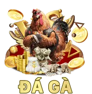 Mã Hóa Dữ Liệu JN88